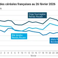 Graphique prix blé maïs orge France au 26 février 2026