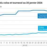Graphique prix colza tournesol France au 30 janvier 2026