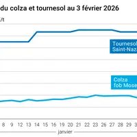 Graphique prix colza tournesol France au 3 février 2026