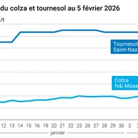 Graphique prix colza tournesol France au 5 février 2026