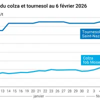 Graphique prix colza tournesol France au 6 février 2026