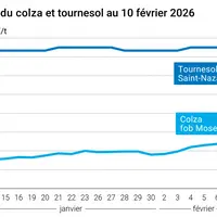 Graphique prix colza tournesol France au 10 février 2026
