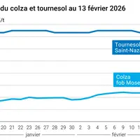Graphique prix colza tournesol France au 13 février 2026