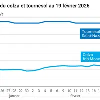 Graphique prix colza tournesol France au 19 février 2026