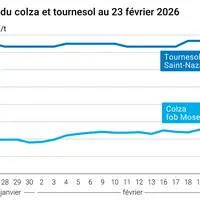 Graphique prix colza tournesol France au 23 février 2026