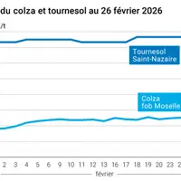 Graphique prix colza tournesol France au 26 février 2026