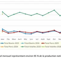 Graphique de la production d'aliments pour animaux par segment de marché.