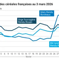 Graphique prix blé maïs orge France au 3 mars 2026
