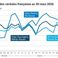 Graphique prix blé maïs orge France au 20 mars 2026