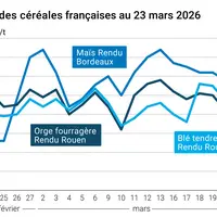 Graphique prix blé maïs orge France au 23 mars 2026