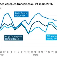 Graphique prix blé orge maïs France au 24 mars 2026
