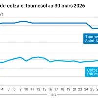 Graphique prix colza tournesol France au 30 mars 2026