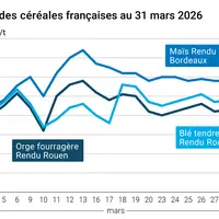 Graphique prix blé orge maïs France au 31 mars 2026