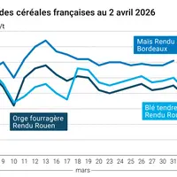 Graphique prix blé orge maïs France au 2 avril 2026