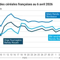 Graphique prix blé maïs orge France au 6 avril 2026