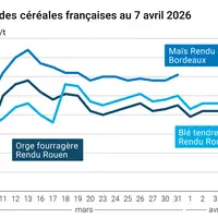 Graphique prix blé maïs orge France au 7 avril 2026