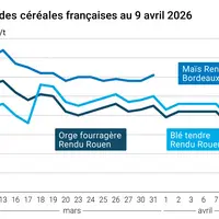 Graphique prix blé, orge et maïs France