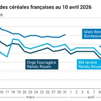 Graphique prix blé, orge et maïs France
