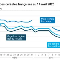 Graphique prix blé maïs orge France au 14 avril 2026