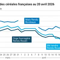Graphique prix blé maïs orge France au 20 avril 2026
