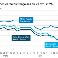 Graphique prix blé maïs orge France au 21 avril 2026