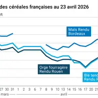 Graphique prix blé maïs orge France au 23 avril 2026