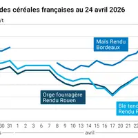 Graphique prix blé maïs orge France au 24 avril 2026