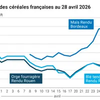 Prix blé orge maïs France au 28 avril 2026