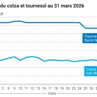 Graphique prix colza tournesol France au 31 mars 2026