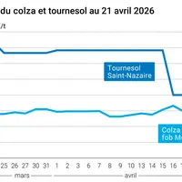 Graphique prix colza tournesol France au 21 avril 2026