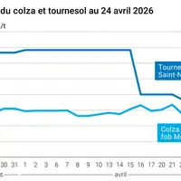 Graphique prix colza tournesol France au 24 avril 2026