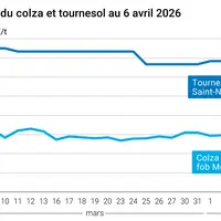 Graphique prix colza tournesol France au 6 avril 2026