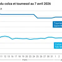 Graphique prix colza tournesol France au 7 avril 2026