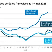 Prix blé orge maïs France au 1er mai 2026