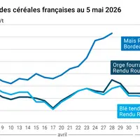 Graphique prix blé maïs orge France au 5 mai 2026