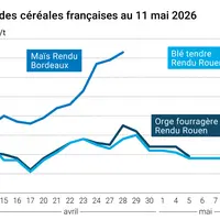 Graphique prix blé orge maïs France au 11 mai 2026
