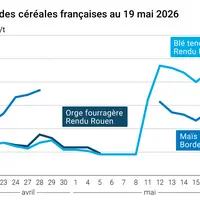 Graphique prix blé maïs orge France au 19 mai 2026