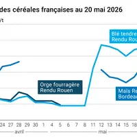Graphique prix blé orge maïs France au 20 mai 2026