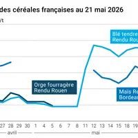 Graphique prix blé maïs orge France au 21 mai 2026