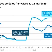 Graphique prix blé maïs orge France au 25 mai 2026