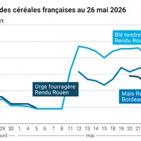 Graphique prix blé maïs orge France au 26 mai 2026