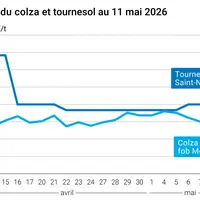 Graphique prix colza tournesol France au 11 mai 2026