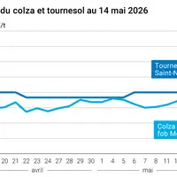 Graphique prix colza tournesol France au 14 mai 2026