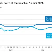 Graphique prix colza tournesol France au 15 mai 2026