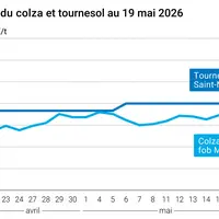 Graphique prix colza tournesol France au 19 mai 2026