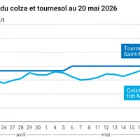 Graphique prix colza tournesol France au 20 mai 2026