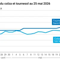 Graphique prix colza tournesol France au 25 mai 2026
