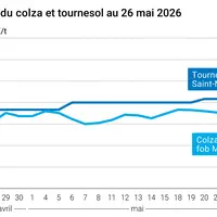 Graphique prix colza tournesol France au 26 mai 2026