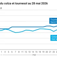 Graphique prix colza tournesol France au 28 mai 2026