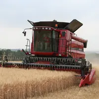 récolte de blé dur